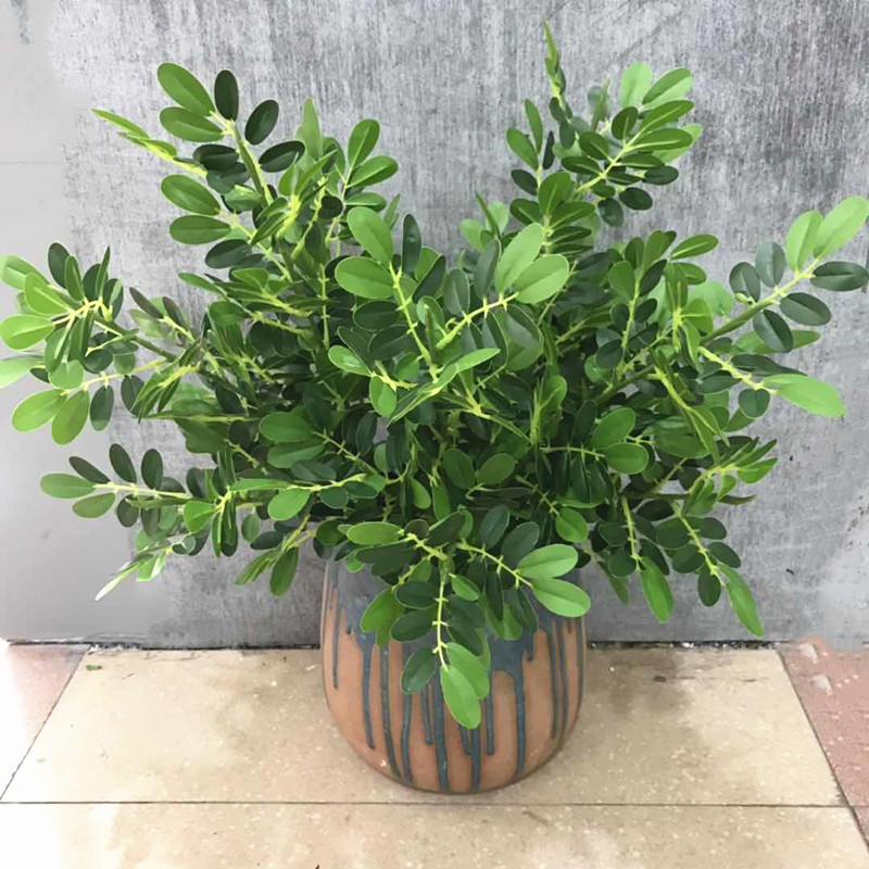 仿真单支洋槐叶胡椒手感绿植树枝插花工程景观仿真绿植