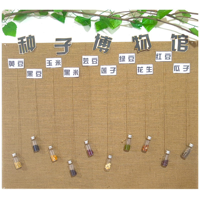 幼儿园环创装饰植物主题墙面大班区域区角材料布置种子科学区中班