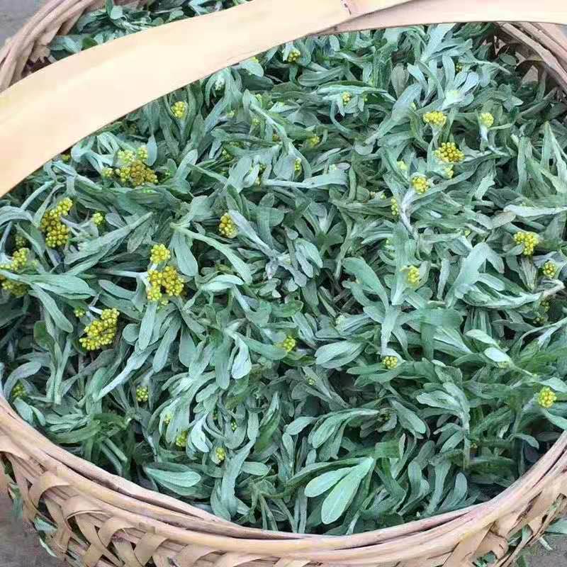 鼠曲福建古田自制秋菊粿草清明绿色年糕糍粑其他食品