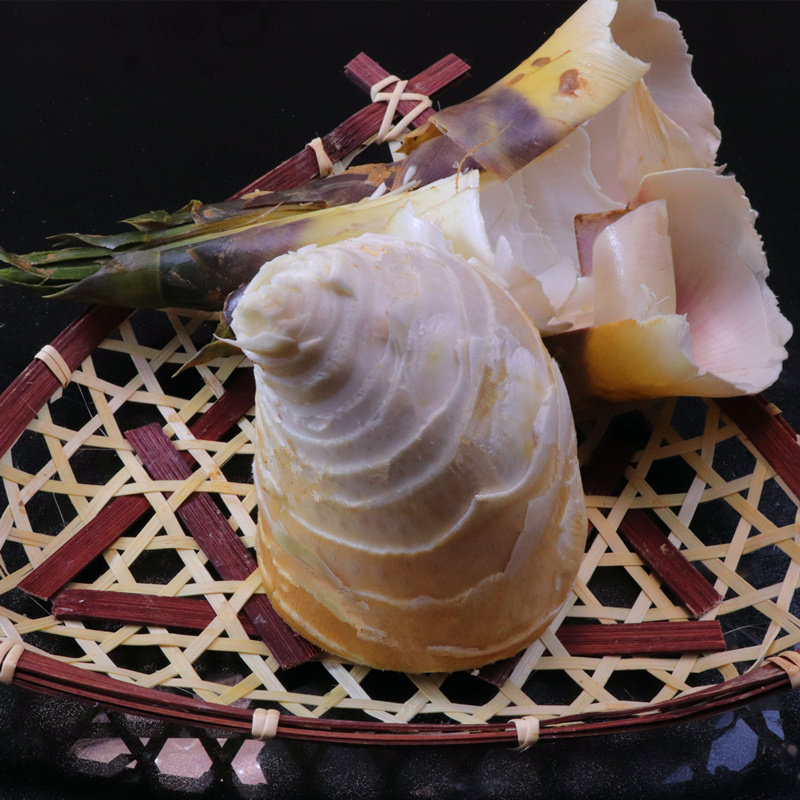 甜笋现挖福建新鲜黄尖笋春笋竹笋黄泥笋尖油焖竹笋