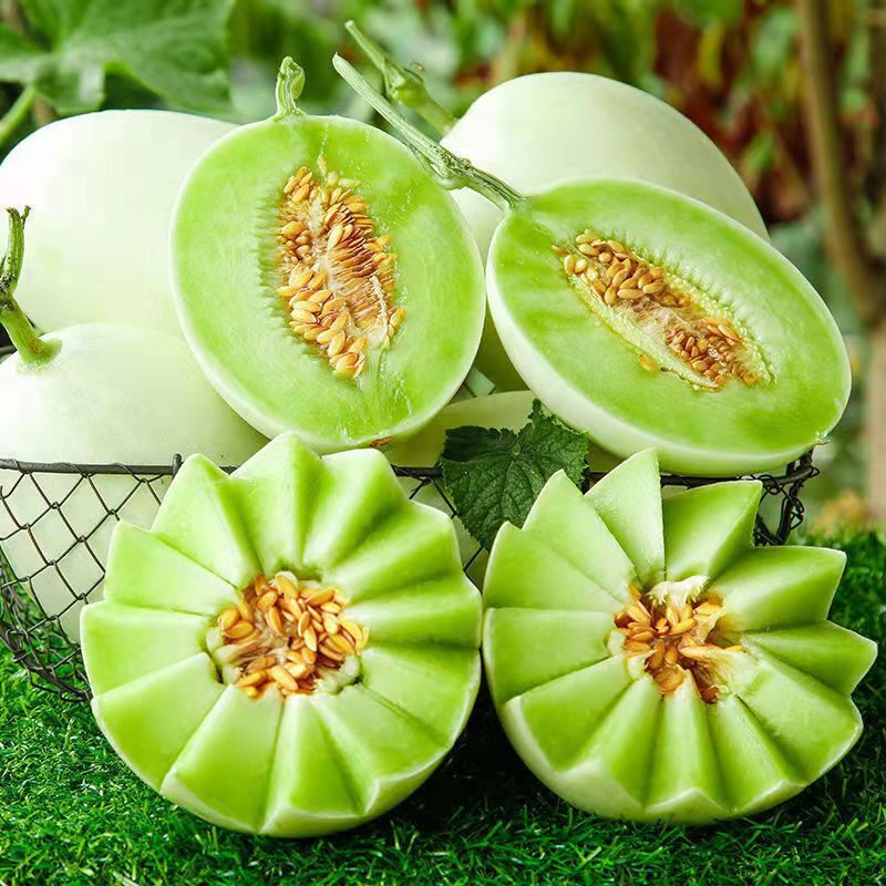 阎良甜瓜新鲜水果整箱5斤冰淇淋应季蜜瓜香瓜当季南汇玉菇甜瓜