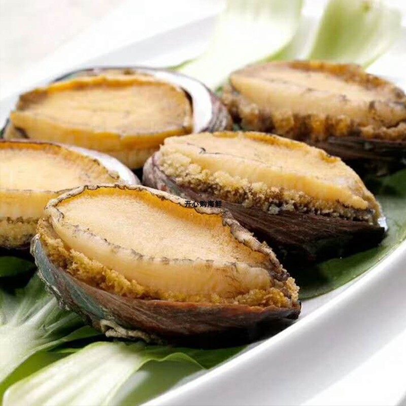 鲍鱼活冻海鲜8头鲍去脏网红新鲜熟冻省内包包鲍鱼