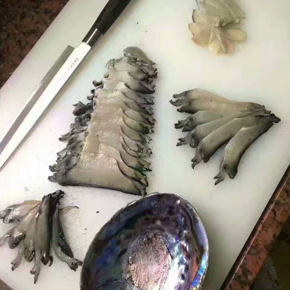 鲍鱼黑金鲜活新西兰进口超大鱼刺海鲜1斤包邮鲍鱼