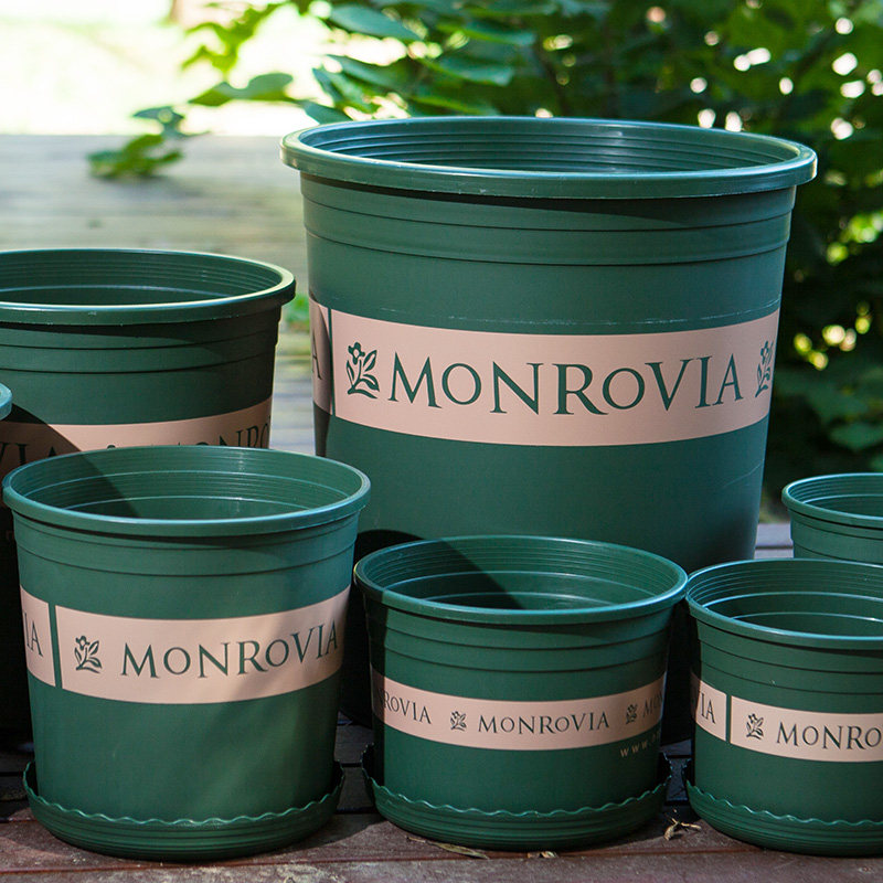 花盆正品加伦加厚树脂塑料多肉绿萝花盆