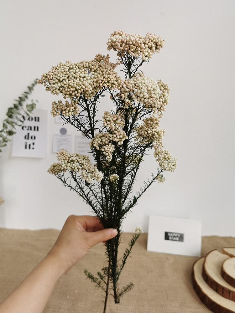 小米花干花束天然干花大束真花装饰摆件客厅永生花插花家居摆设