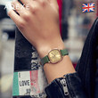 Adexe Watch Women's Simple Temperament Ins Style Light Luxury Women's Watch Square Plate Small Green Watch Women's Watch Is Retro Adexe Watch Women's Simple Temperament Ins Style Light Luxury Women's Watch Square Plate Small Green Watch Women's Watch Is Retro