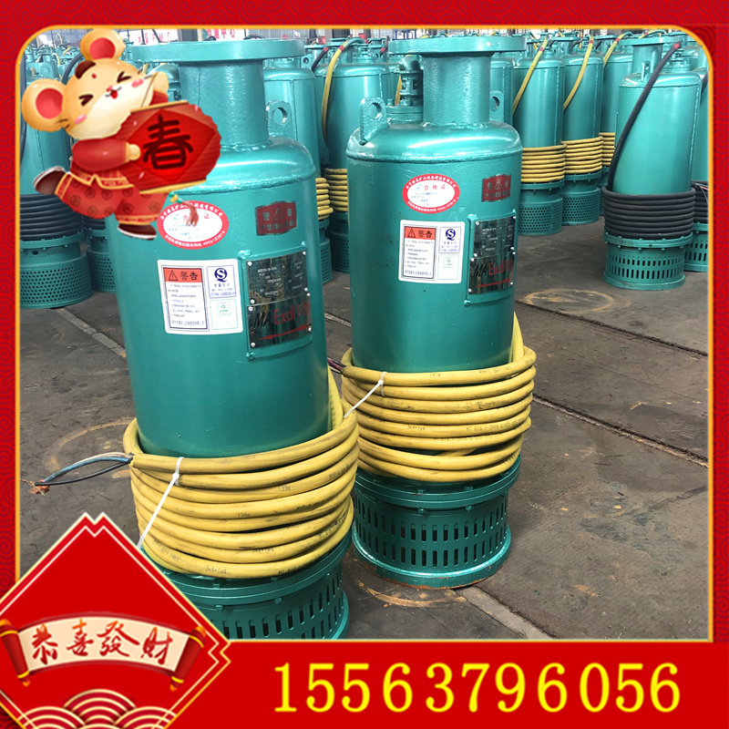 200方水泵380v660v三相电潜污泵煤安认证bqs22kw矿用