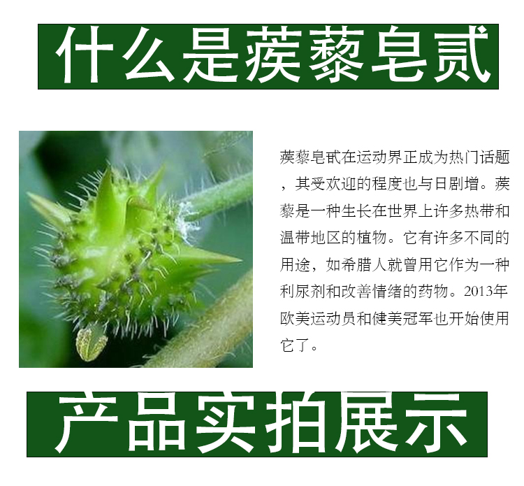 蒺藜睾丸酮皂甙雄性促睾激素健身提取物特色