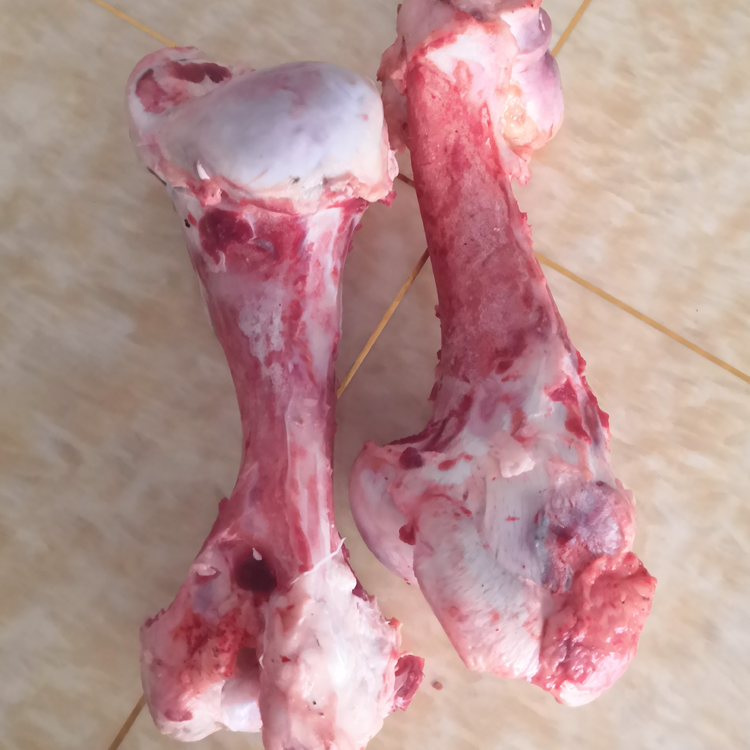 山西黄牛新鲜牛棒骨牛骨髓牛骨头孕妇煲汤补钙食材4斤左右包邮