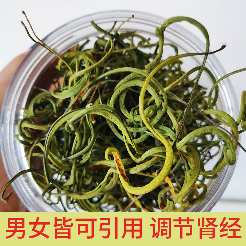 长白山野生肾精茶肾精草茶东北化石草调理茶男性冬季持送人参