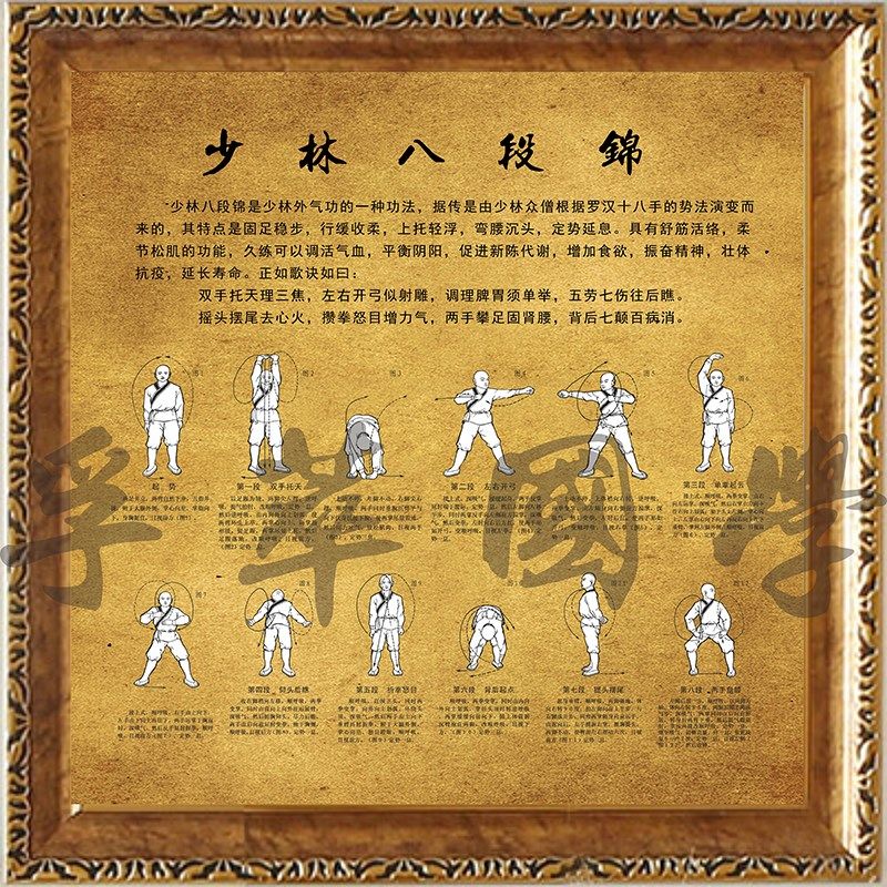少林八段相框健身气功武术秘传中医养生文化宣传现代装饰画