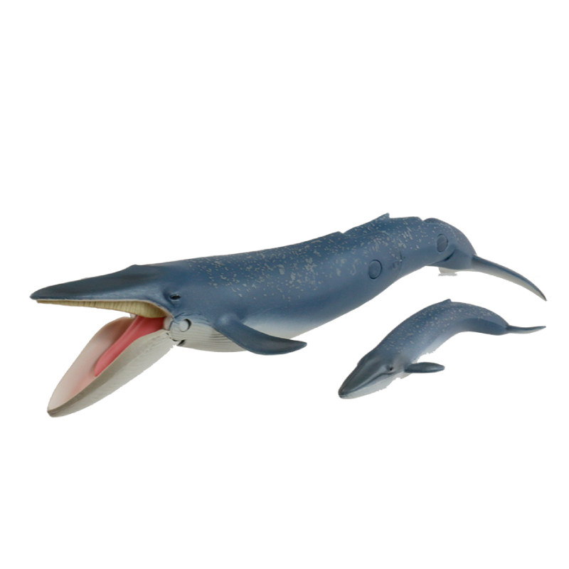 tomy多美安利亚仿真野生海洋动物模型玩具蓝鲸嘴巴可开闭870012