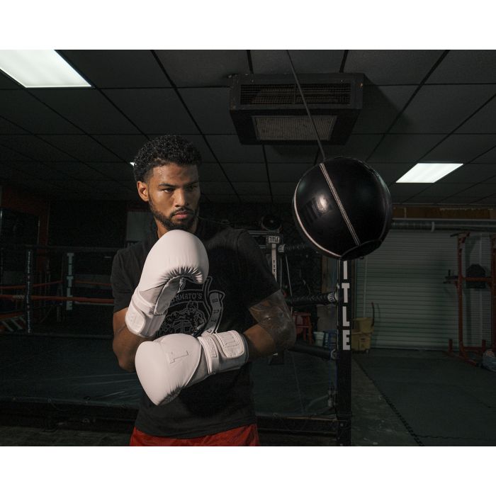 titlecannonball真皮沙袋吊球躲避球拳击沙袋