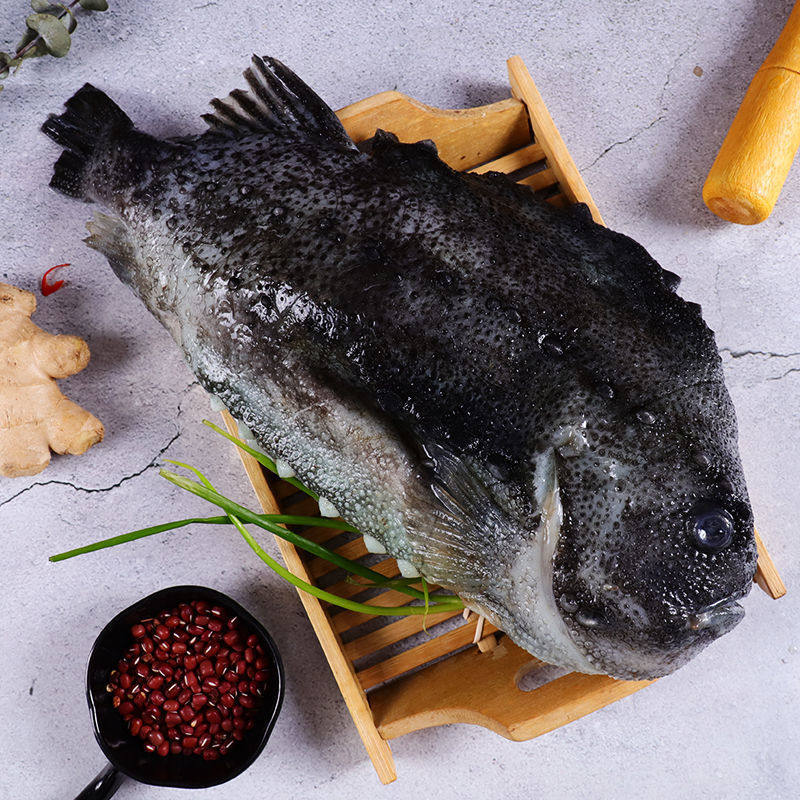 冷冻海鲜鱼类北极海参斑鱼新鲜海鱼美容佳品斑鱼