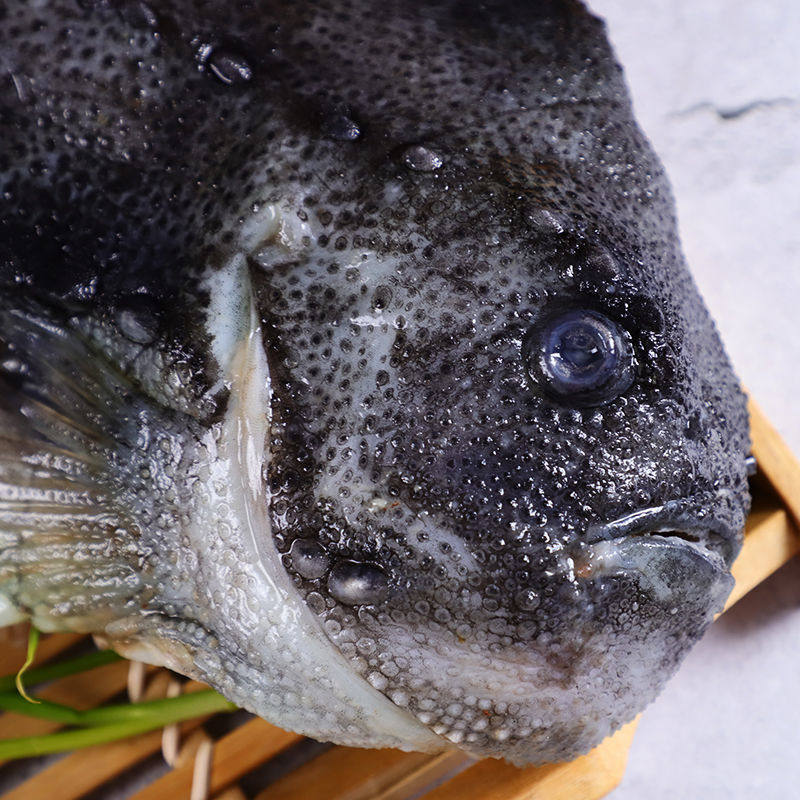 海参冷冻海鲜鱼类斑鱼冰岛去砂去沙北极1400g斑鱼