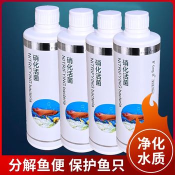 Dingding fish nitrifying live bacteria fish tank aquarium water purification liquid digestive bacteria live fish tank fish farming water quality stabilizer