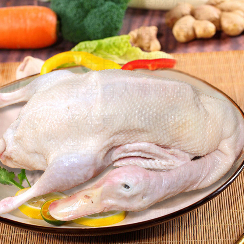 老鸭土鸭2年老鸭子 农家散养麻鸭新鲜鸭子肉活体现杀 老水鸭土鸭