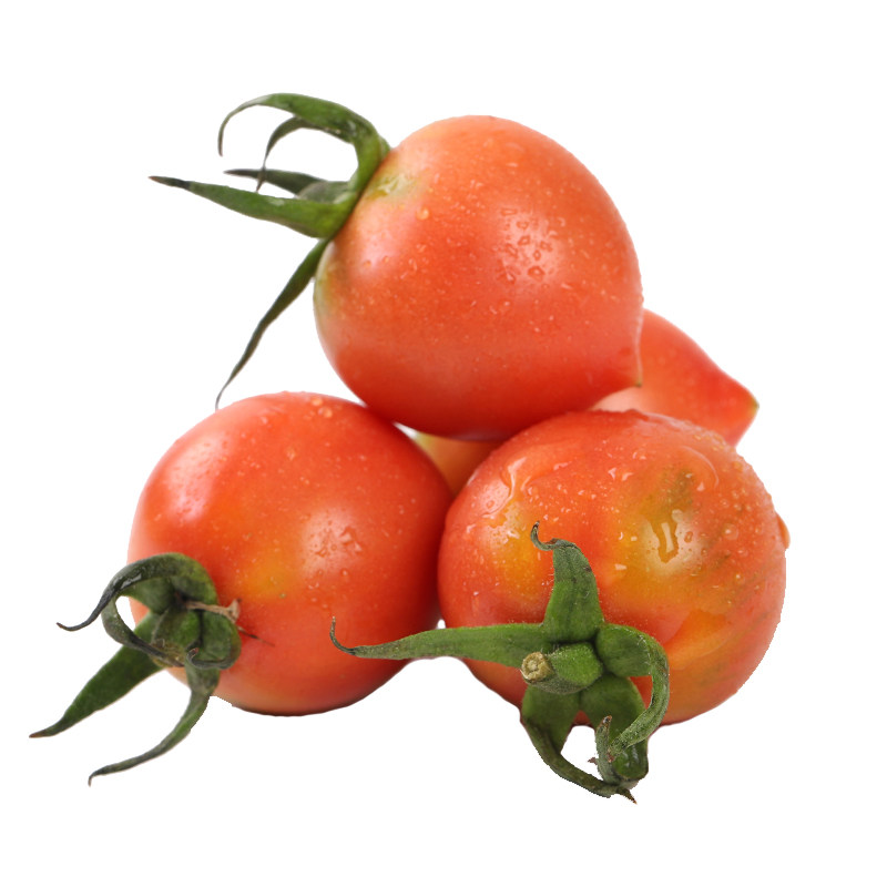 春桃柿子圣女果樱桃小番茄孕妇新鲜水果当季非千禧小番茄净重5斤