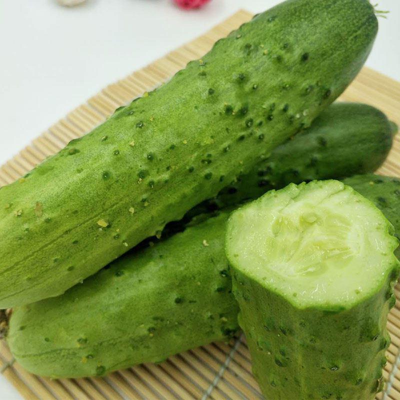 东北旱水果小黄瓜新鲜5斤包邮青瓜