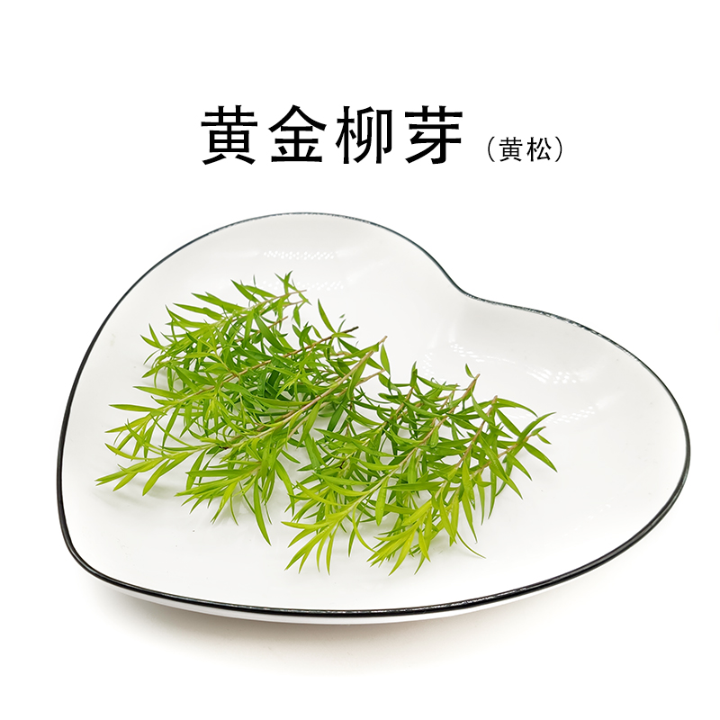 新鲜黄金柳芽 黄松 20支盒 酒店餐厅摆盘装饰西餐日料
