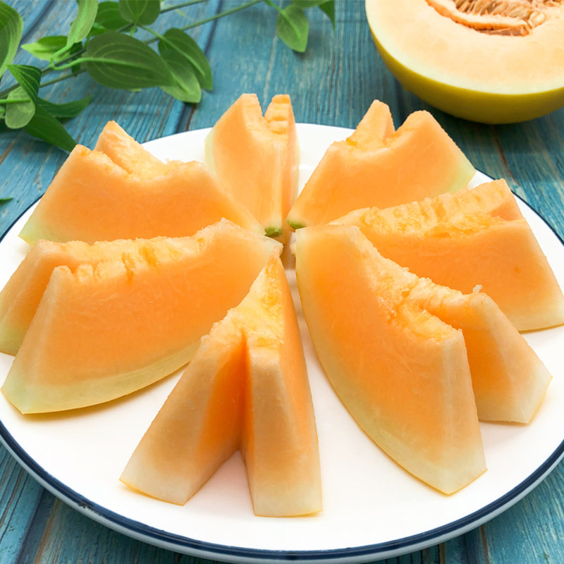 伊千寻当季黄河蜜瓜5斤