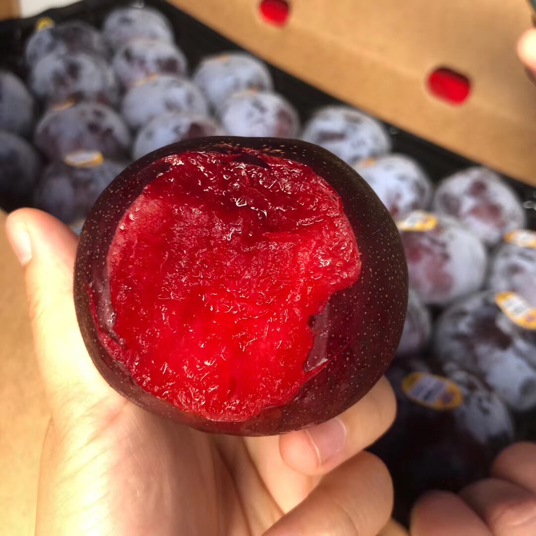 布林情人顺丰8斤血丝黑金刚李红新美国李子进口李子
