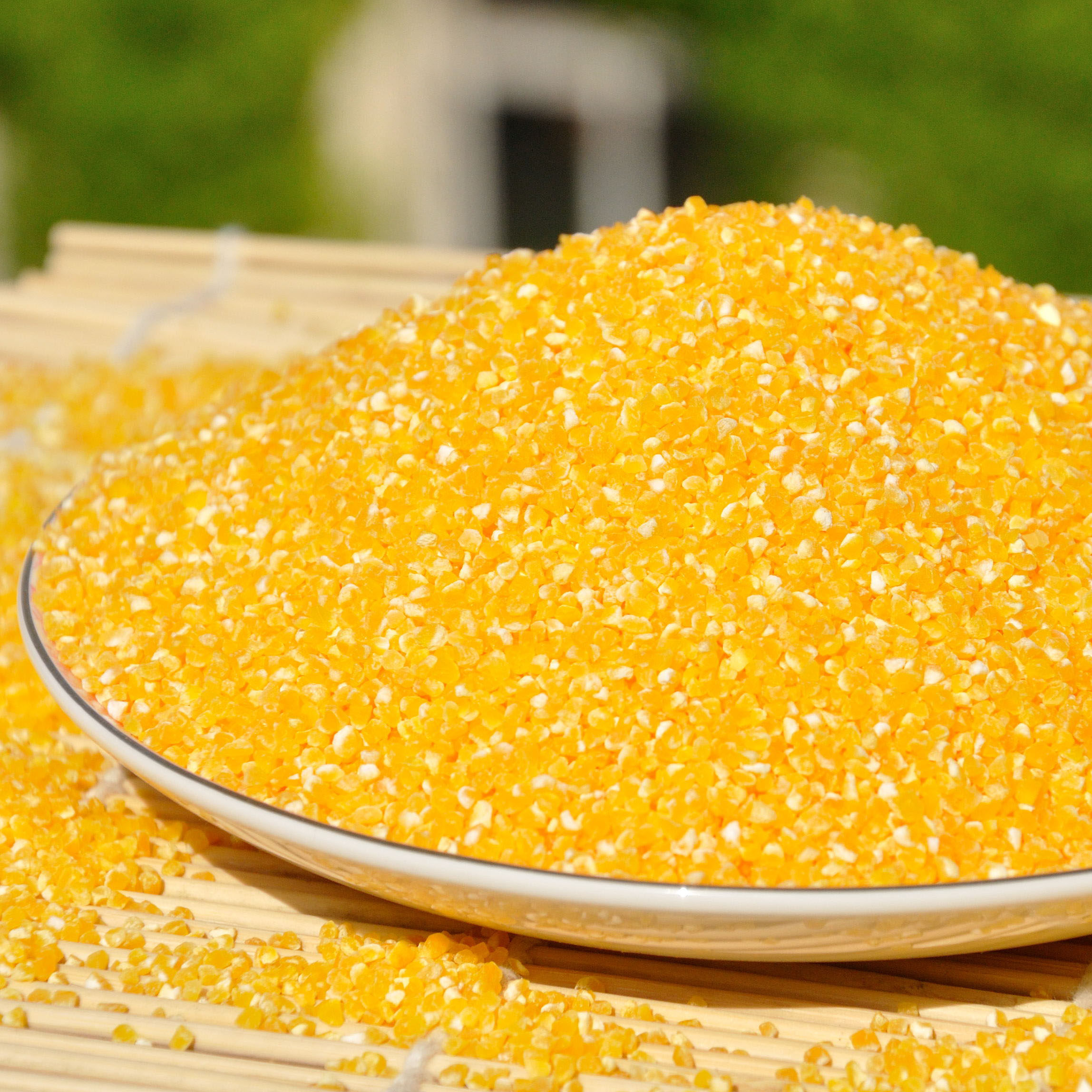 碴子农家东北自产玉米粥笨不粘500克特产5斤玉米