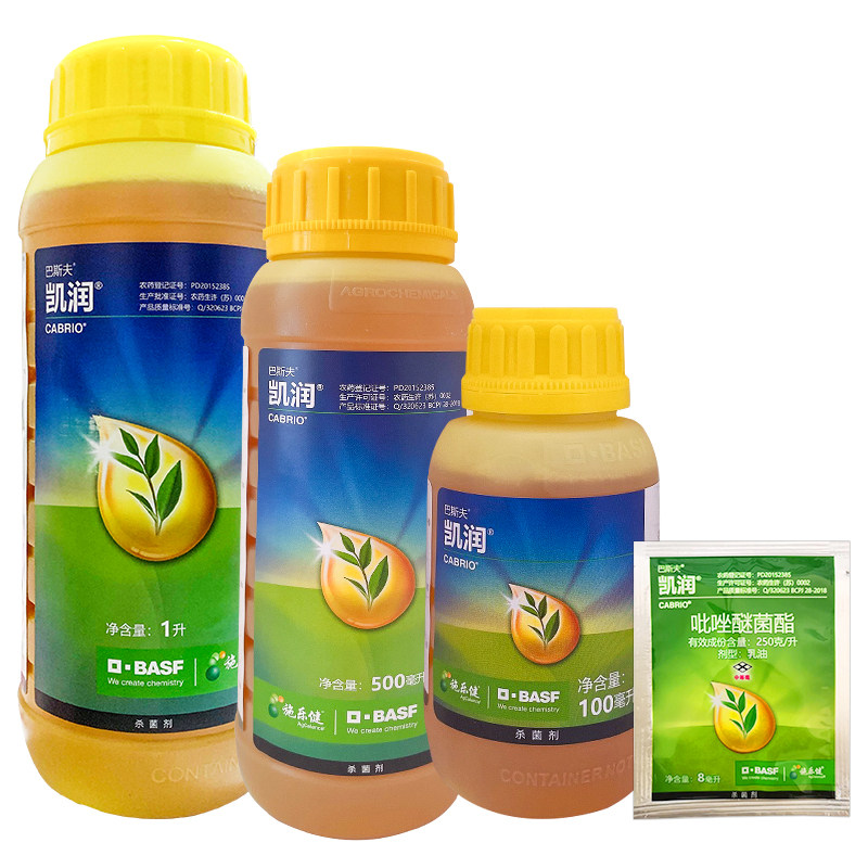 德国巴斯夫凯润吡唑醚菌酯草坪褐斑病茶树炭疽病农药专用杀菌剂