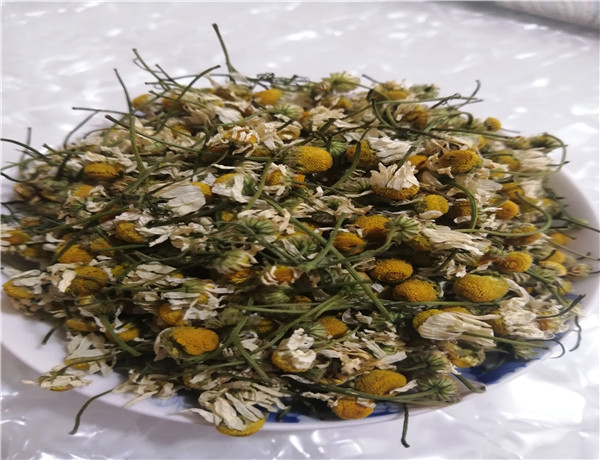 甘菊中药材花草茶500克包邮野菊花山菊菊花其他药食同源食品
