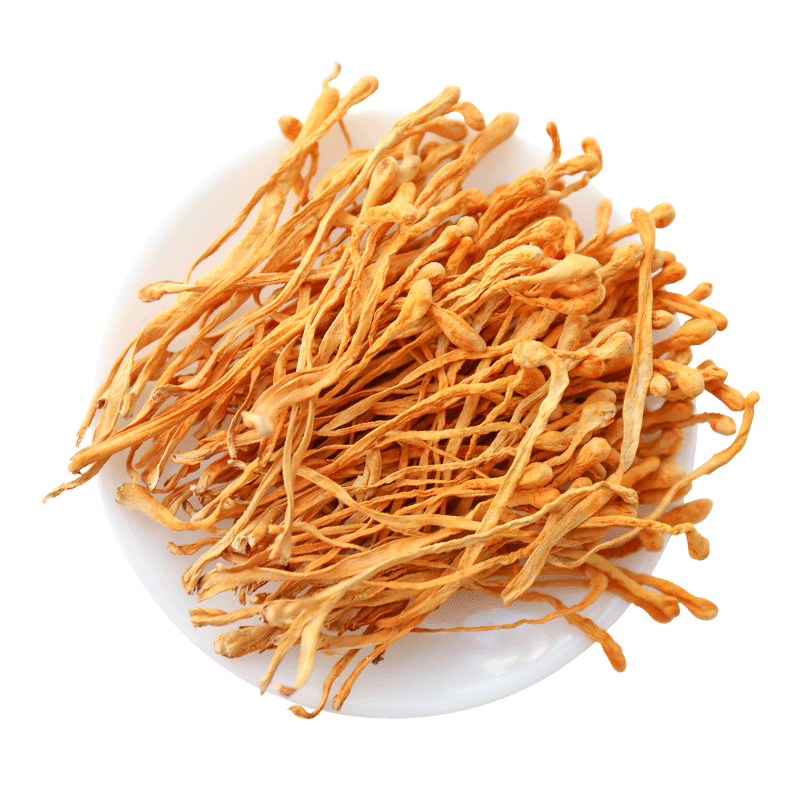 虫草黄大国干货金虫无硫材料煲汤大孢孢子特产其它干货
