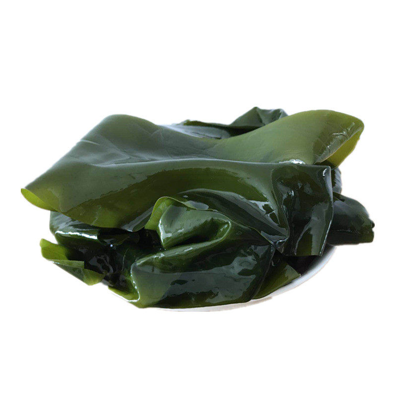 新货海带荣成薄嫩藻类昆布生态盐渍边凉拌菜海带