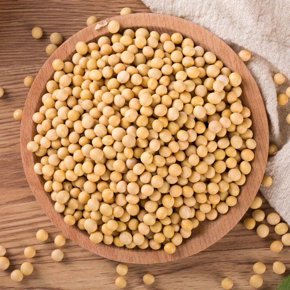 黄豆小黄1000g转基因豆浆伴侣农家自种五谷杂粮2斤黄豆