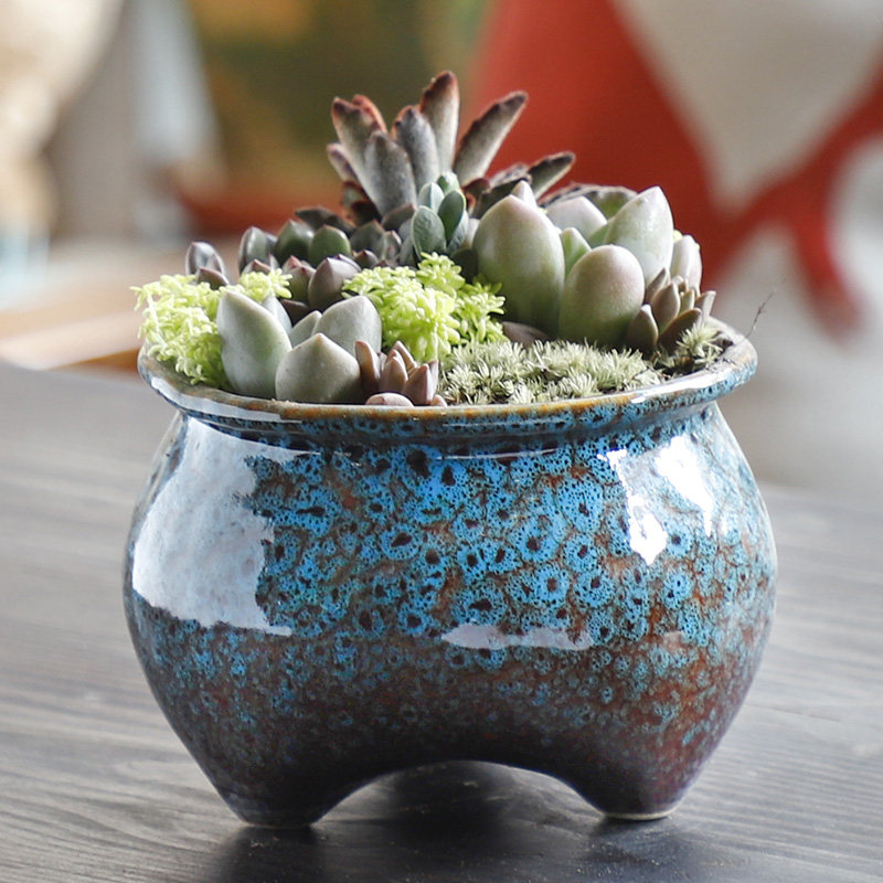 多肉花盆陶瓷清仓简约特价家用大口径肉肉创意花盆