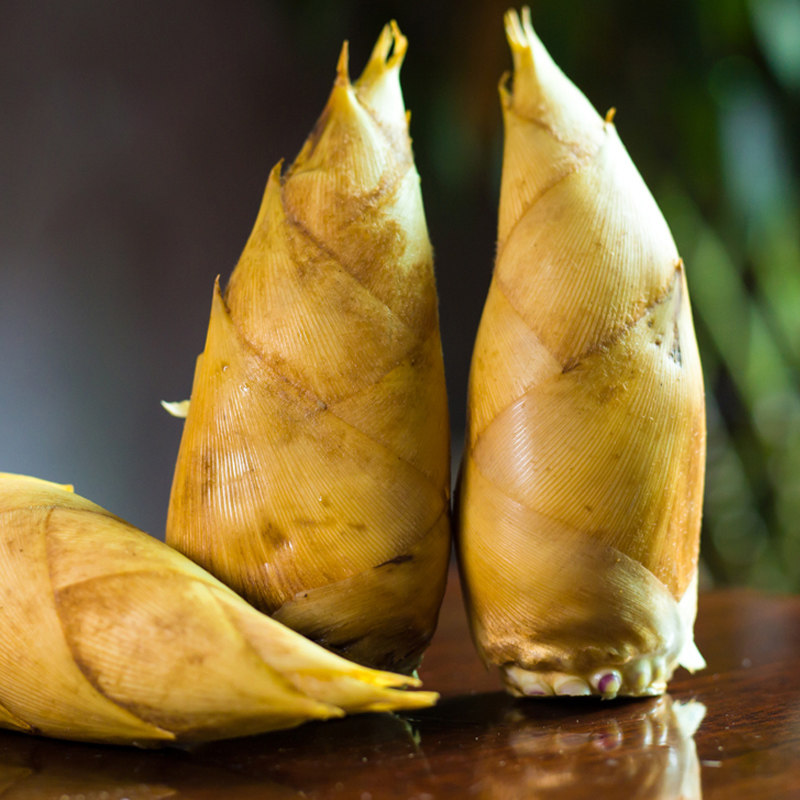 竹笋2020新鲜冬笋现挖临安安大农家蔬菜5斤竹笋