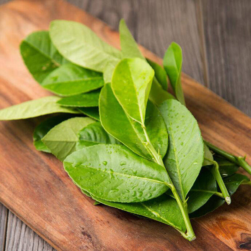 新鲜泰国柠檬250g香料西餐料理腌制烹饪调料其它