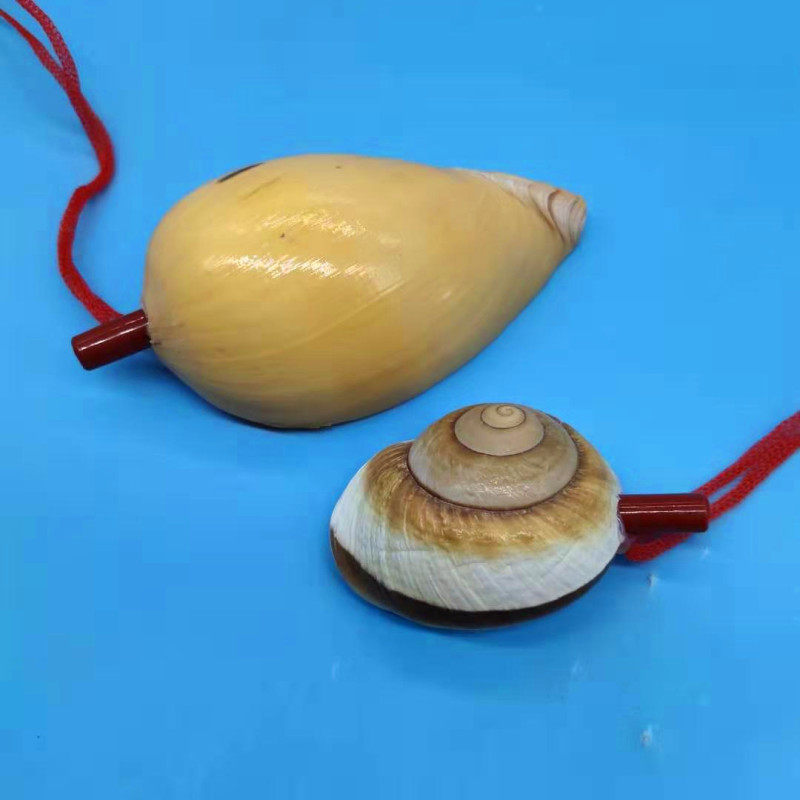 海螺天然口哨大海号角吹响贝壳工艺品创意礼物海螺