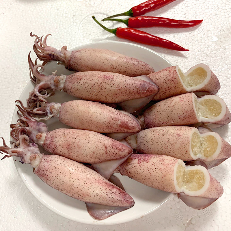 海兔兔子满籽笔管新鲜全籽籽乌乌贼鱿鱼墨鱼冷冻墨鱼