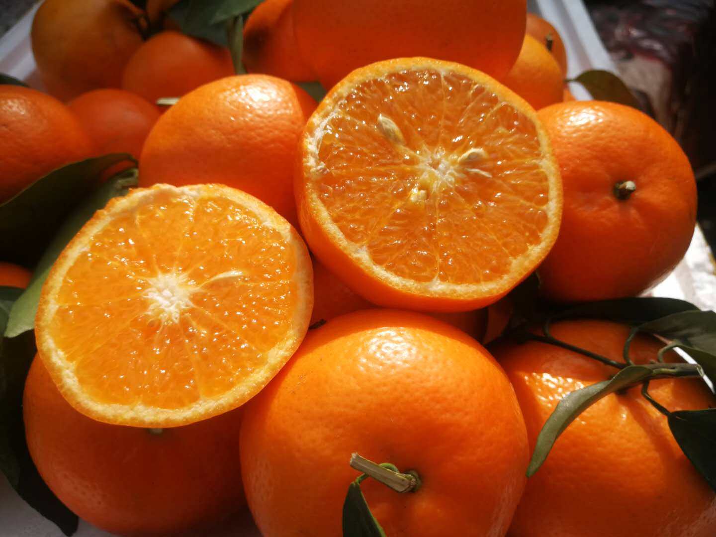 精选大果广西武鸣沃柑十斤装带箱甜橘子桔子当季新鲜水果丑皇帝柑