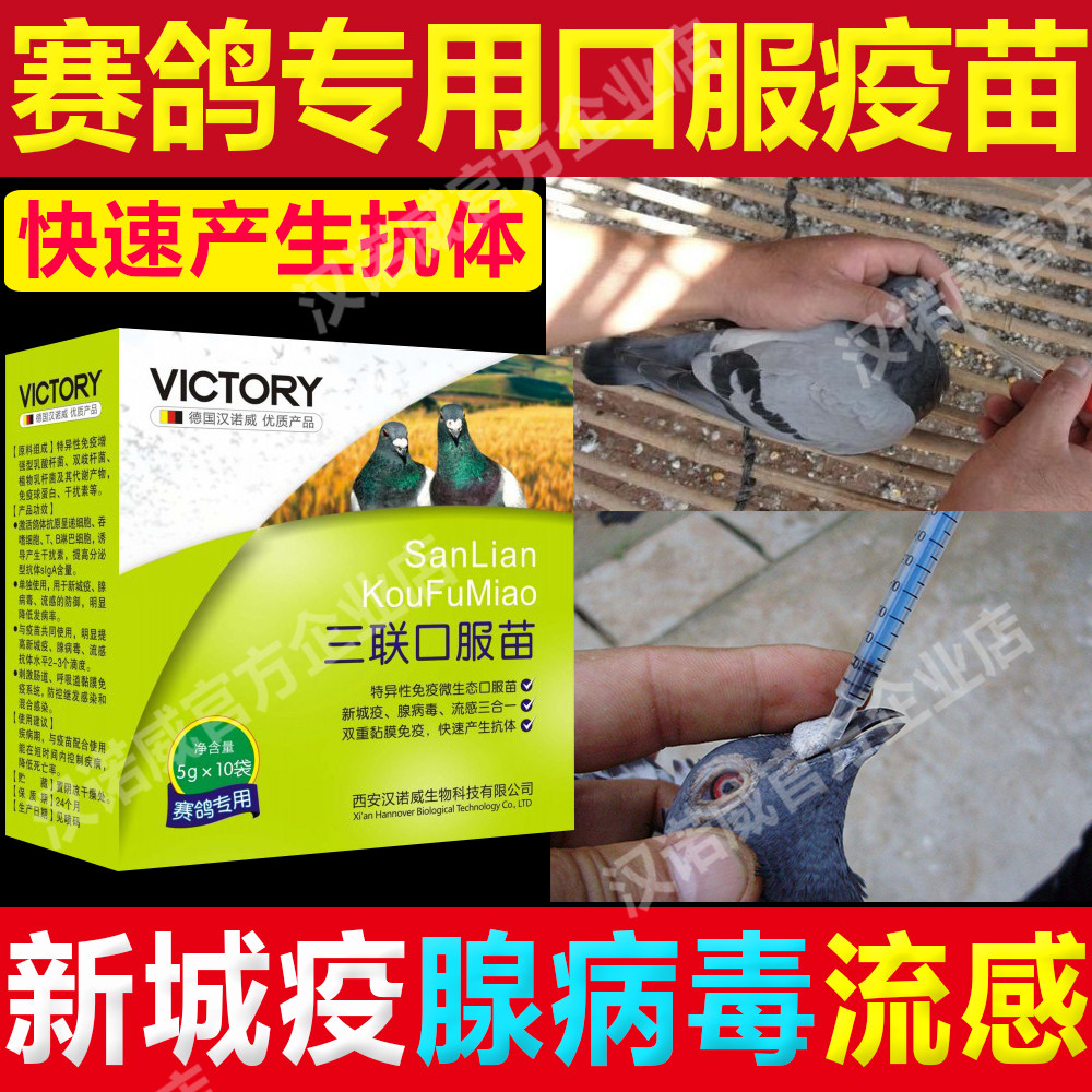 鸽药汉诺威三联口服苗赛信鸽新城疫苗医疗用品