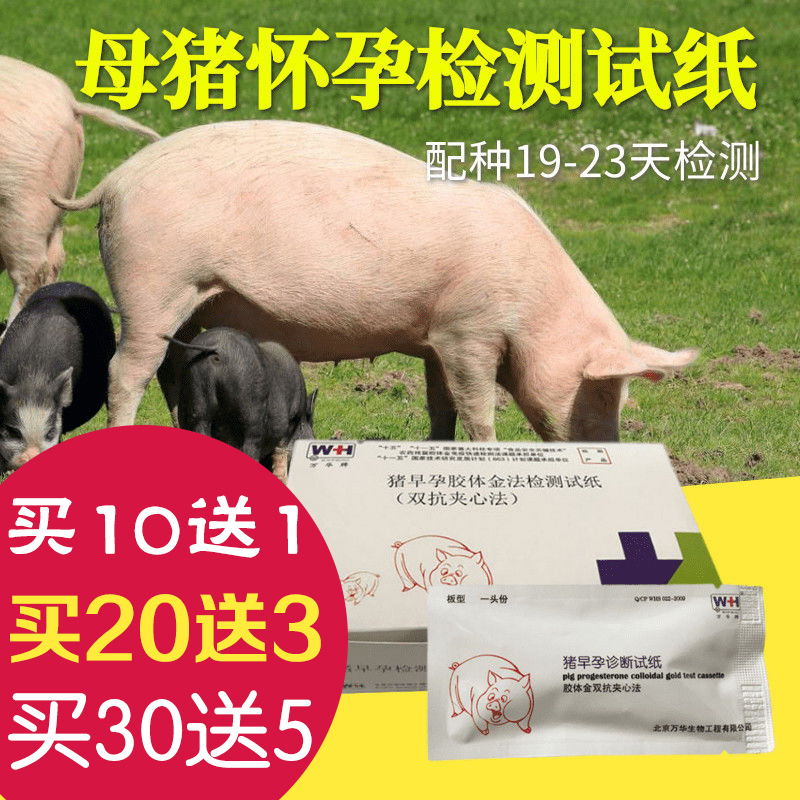 试纸母猪测孕纸猪孕验孕棒猪用怀孕早孕测试畜牧