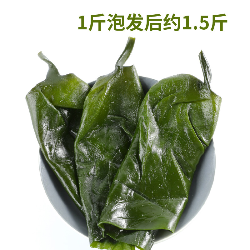 福建霞浦5斤装海带头盐渍新鲜海带根头非特海带