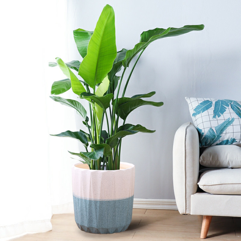 花盆欧式陶瓷特大号简约创意托盘高款室内落地花盆