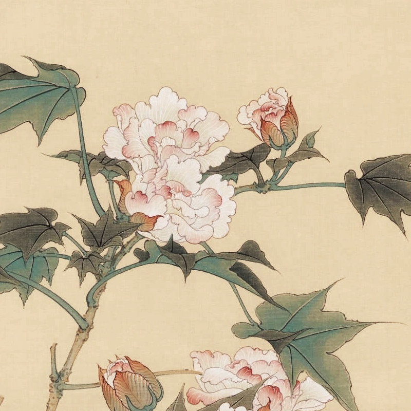 国画工笔打印白描底稿芙蓉花竖幅线稿初学者临摹国画