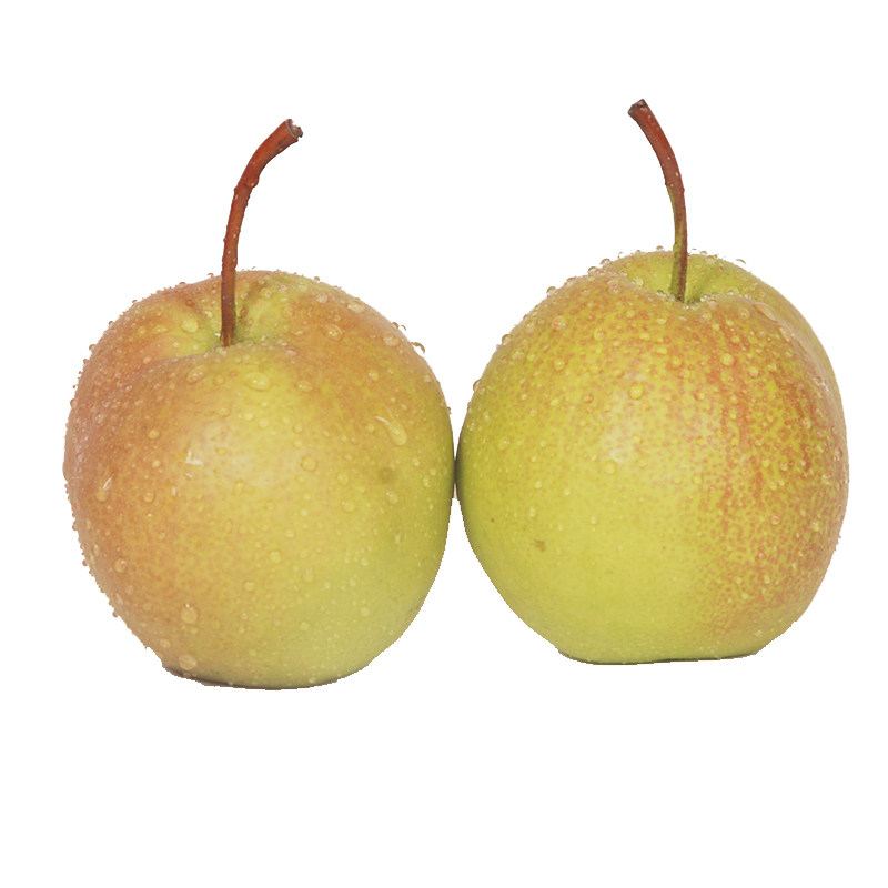 水果香梨山西隰县玉露脆甜新鲜大梨应季整箱梨