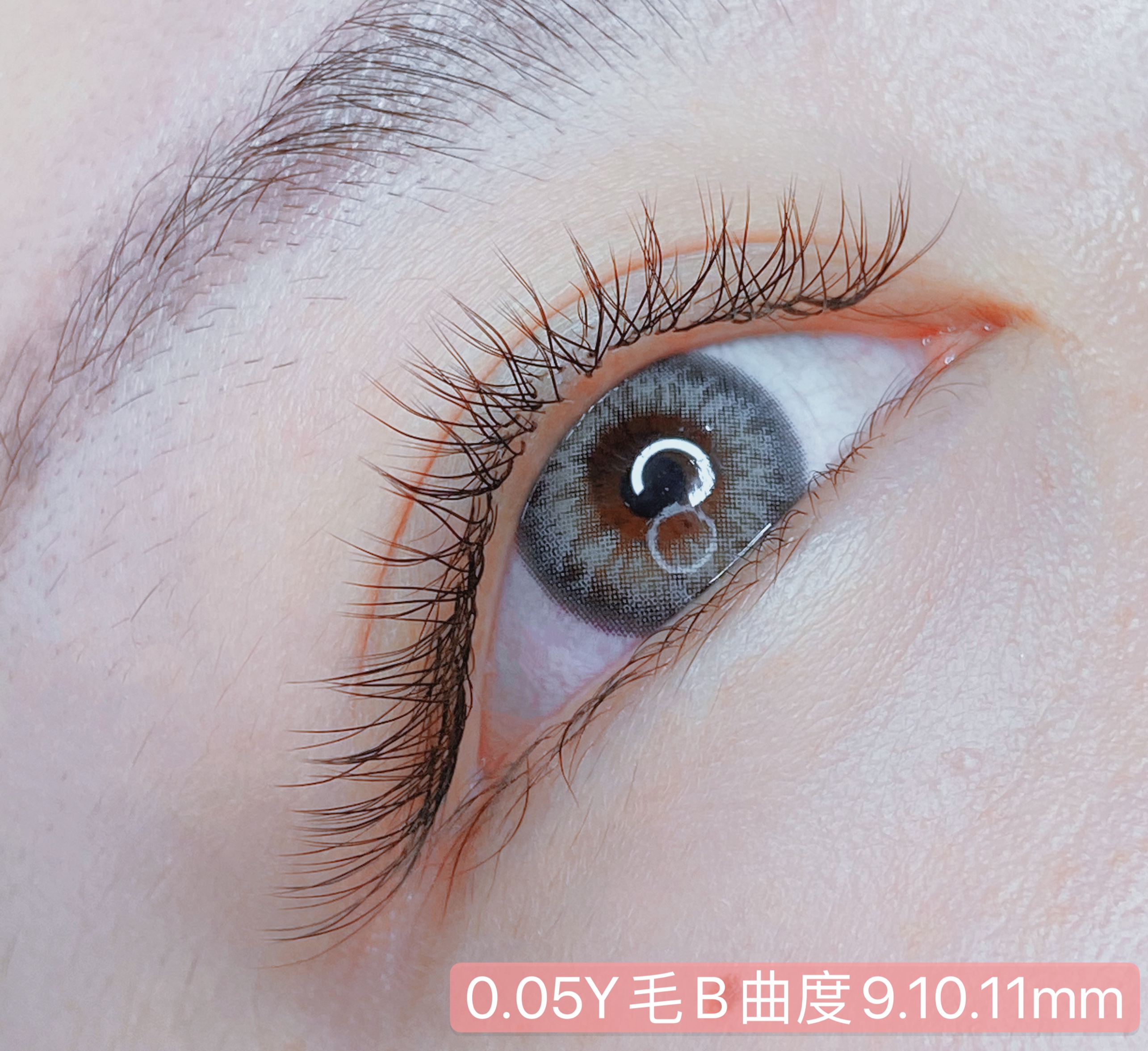 嫁接睫毛005y美睫吹动风吹专用混合芭比bc化妆