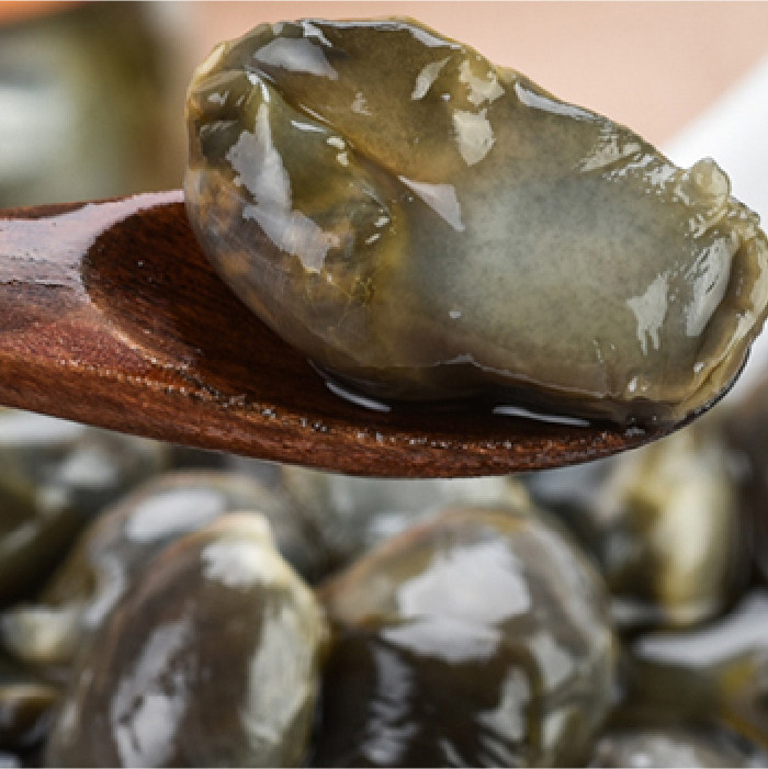 舟山特大泥螺六横黄泥螺即海鲜贝类260g泥螺