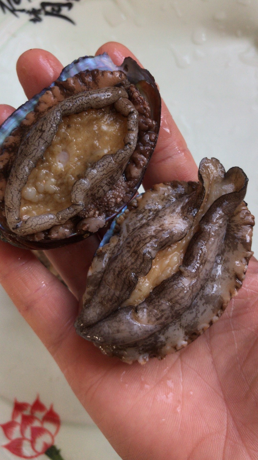 鲍鱼吃货海鲜深海一斤10-12只左右158元32只顺丰鲍鱼