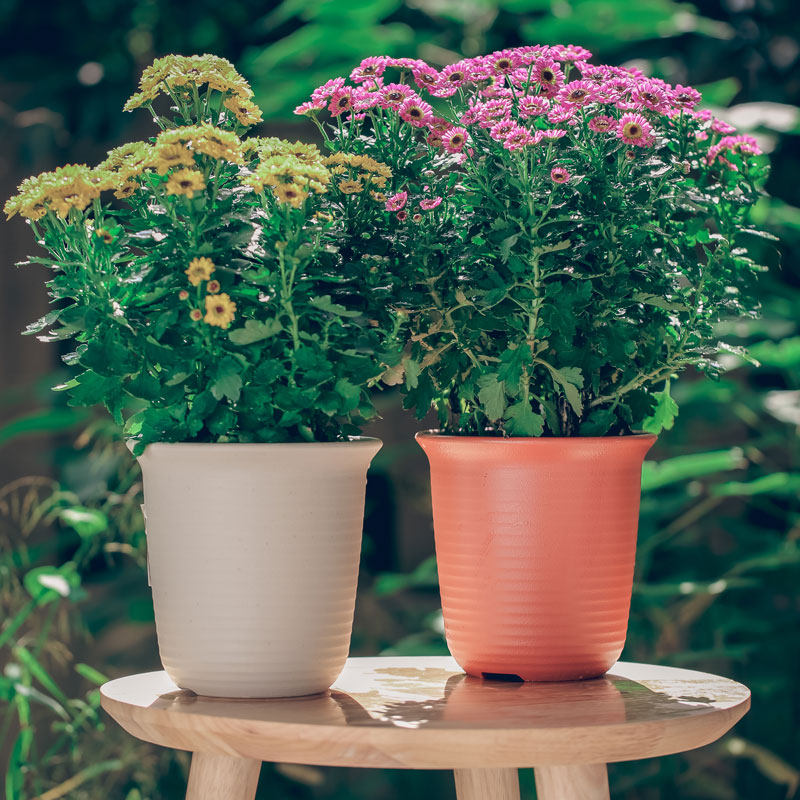 花盆爱丽丝托盘加深高款仿陶瓷大号爱丽思深型树脂花盆