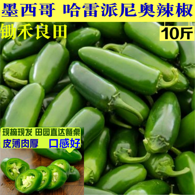 港椒新鲜哈雷派雷派尼奥墨西哥辣椒腌制泡椒特辣辣椒