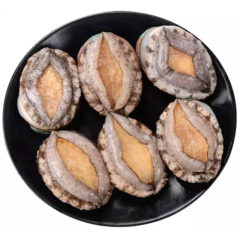 国产渤海野生海8头鲍鱼精品大个鲜活冷冻过节鲍鱼